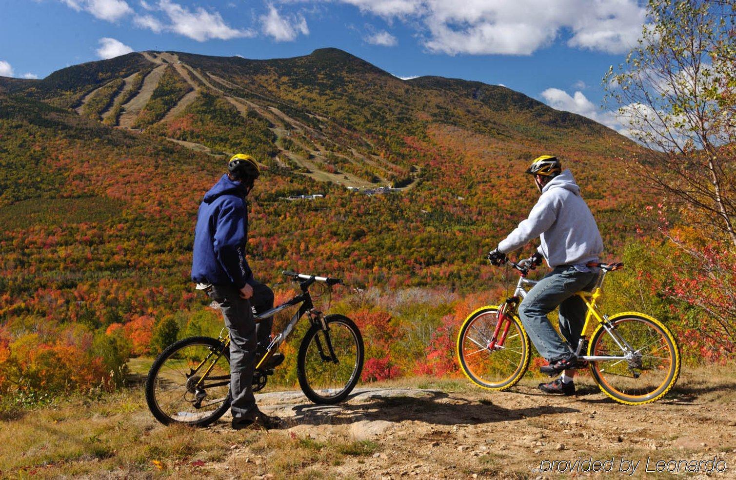 Silver Fox Inn Waterville Valley Εξωτερικό φωτογραφία