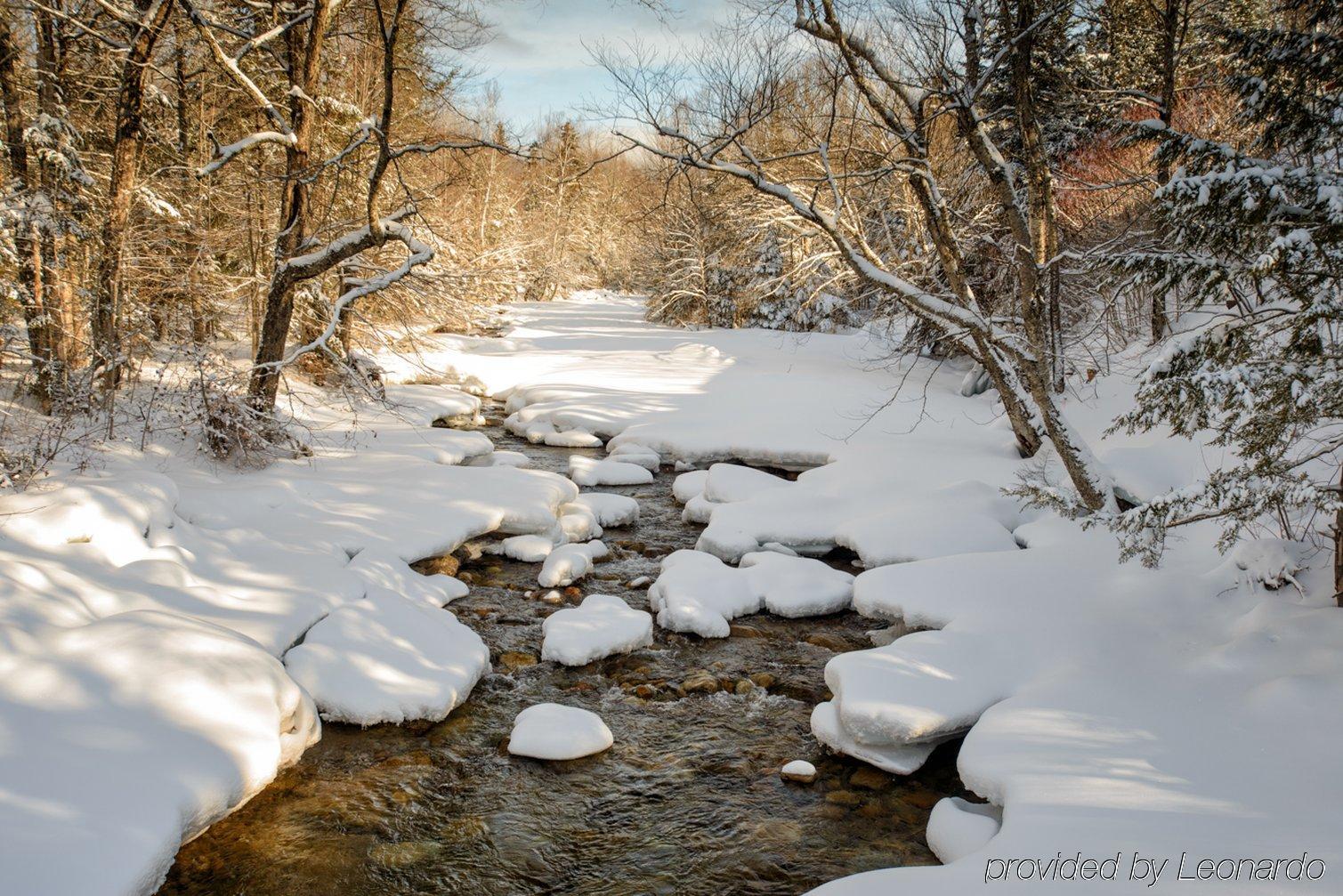 Silver Fox Inn Waterville Valley Εξωτερικό φωτογραφία