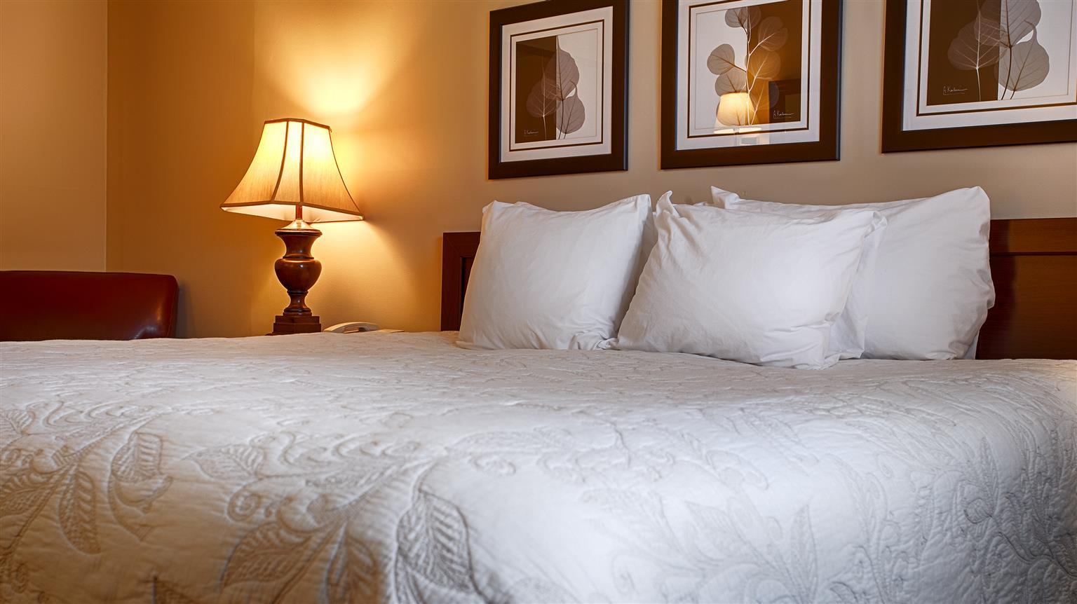 Silver Fox Inn Waterville Valley Εξωτερικό φωτογραφία